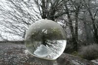 Die Kristallkugel im Winter